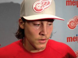 Red Wings put Vanek on long-term IR, recall Bertuzzi