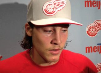 Red Wings put Vanek on long-term IR, recall Bertuzzi