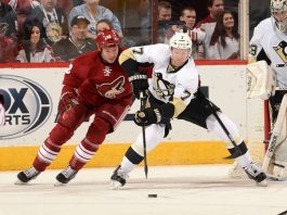 ARIZONA vs PITTSBURGH NHL Odds, Pick & Preview