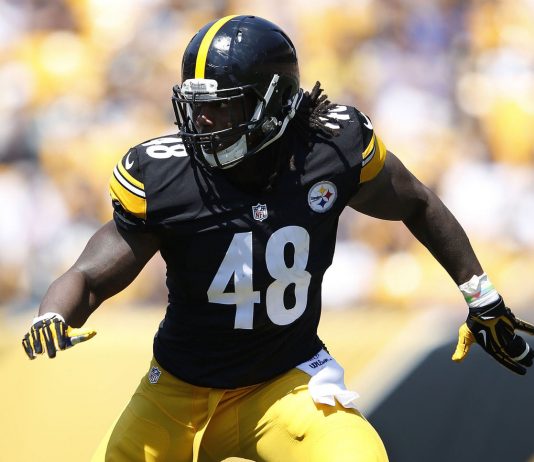 Healthy again, smaller Dupree hoping to ‘ball’ for Steelers