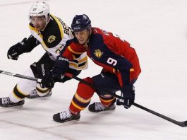 Florida Panthers vs Boston Bruins Odds & Prediction