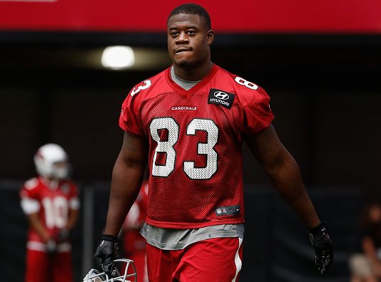 Bills promote TE Gerald Christian from practice squad