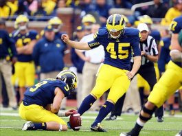 Cardinals sign punter to practice squad, Butler job on line