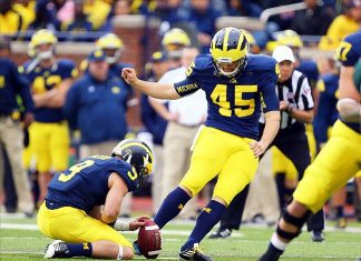 Cardinals sign punter to practice squad, Butler job on line