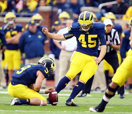 Cardinals sign punter to practice squad, Butler job on line