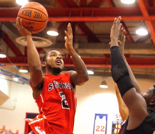 St. Francis (NY) beats Mount St. Vincent 69-51