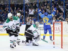 Cockpit smoke forces Dallas Stars’ plane back to airport