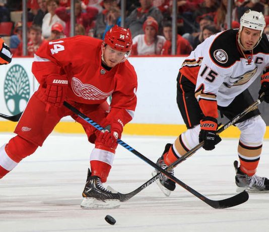 Detroit vs. Anaheim Odds & Prediction