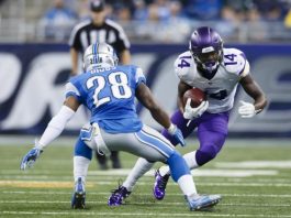 FANTASY PLAYS: Playoff leagues come with options; pick Pats