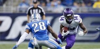 FANTASY PLAYS: Playoff leagues come with options; pick Pats