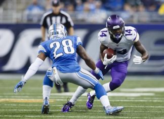 FANTASY PLAYS: Playoff leagues come with options; pick Pats