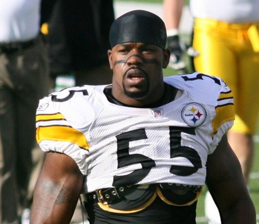 Steelers assistant coach accused of assault hours after win