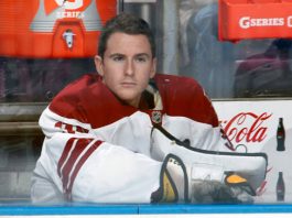 Emergency goalie: The most unusual 1-day job in sports