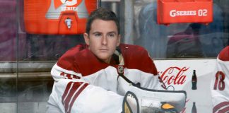 Emergency goalie: The most unusual 1-day job in sports