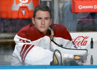 Emergency goalie: The most unusual 1-day job in sports