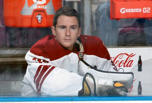 Emergency goalie: The most unusual 1-day job in sports