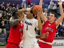 Fairfield Stags vs. Niagara Purple Eagles Odds & Prediction
