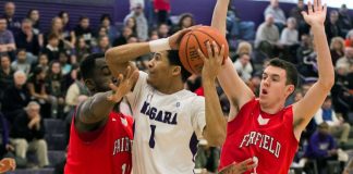 Fairfield Stags vs. Niagara Purple Eagles Odds & Prediction