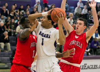 Fairfield Stags vs. Niagara Purple Eagles Odds & Prediction