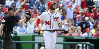 Miami vs Washington Odds & Prediction