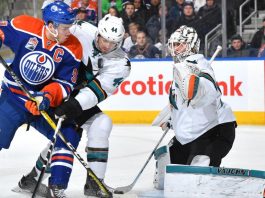 San Jose vs Edmonton Odds & Prediction