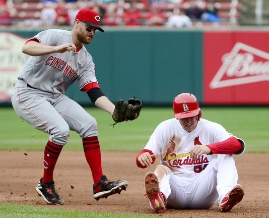 CINCINNATI vs. ST LOUIS 9/1/2018 MLB Odds, Pick & Preview