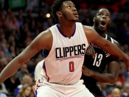 Bulls sign former Clippers C Stone