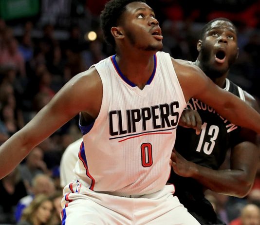 Bulls sign former Clippers C Stone