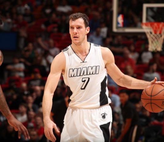 Dragic has 35, Slovenia wins Euro title