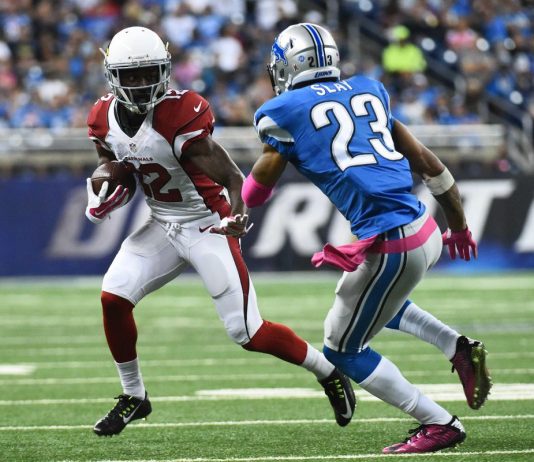 DETROIT vs. ARIZONA 12/9/2018 NFL Odds, Pick & Preview