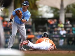 Baltimore Orioles vs. Tampa Bay Rays 10/1/2017 MLB Odds, Pick & Preview