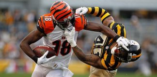 Pittsburgh Steelers vs Cincinnati Bengals 12/4/2017 Odds, Picks & Preview