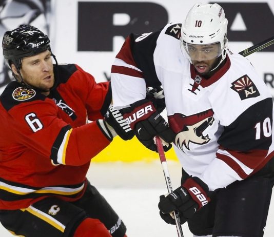 Arizona Coyotes vs Calgary Flames 11/30/2017 Odds, Picks & Preview