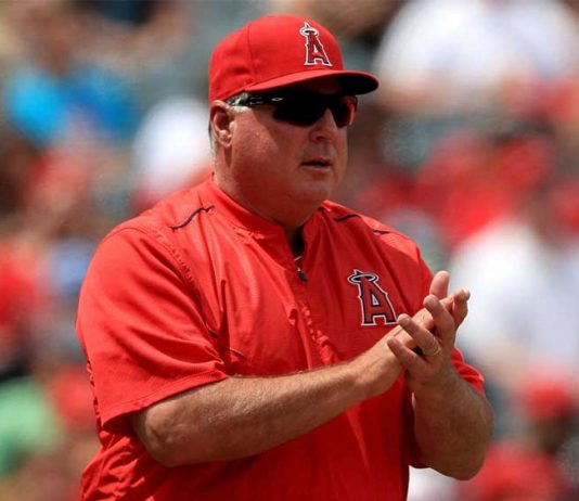Angels manager Scioscia expected to step down