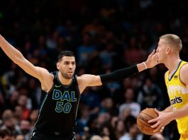 Mavericks re-sign backup C Mejri