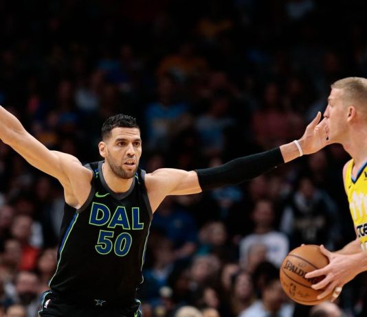 Mavericks re-sign backup C Mejri
