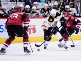 ARIZONA vs BOSTON NHL Odds, Pick & Preview
