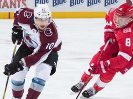 COLORADO vs DETROIT NHL Odds, Pick & Preview