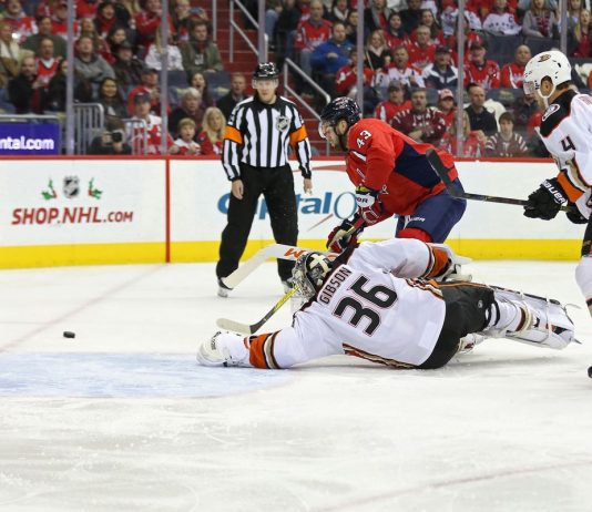 ANAHEIM vs WASHINGTON NHL Odds, Pick & Preview