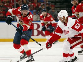 FLORIDA vs DETROIT NHL Odds, Pick & Preview