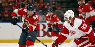 FLORIDA vs DETROIT NHL Odds, Pick & Preview