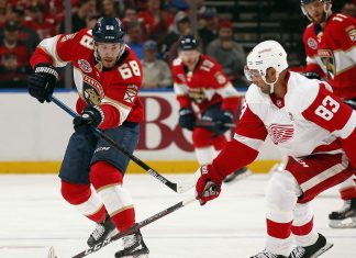 FLORIDA vs DETROIT NHL Odds, Pick & Preview