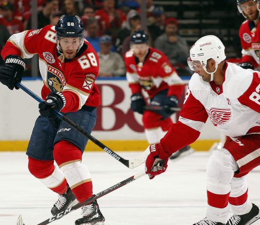 FLORIDA vs DETROIT NHL Odds, Pick & Preview